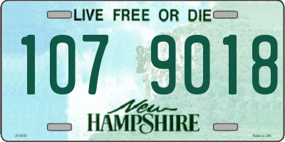 NH license plate 1079018