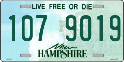 NH license plate 1079019