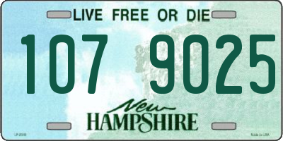 NH license plate 1079025