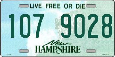NH license plate 1079028