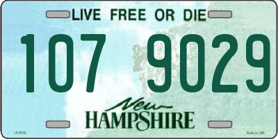 NH license plate 1079029