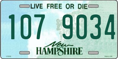 NH license plate 1079034