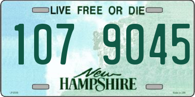 NH license plate 1079045