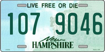 NH license plate 1079046
