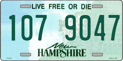 NH license plate 1079047