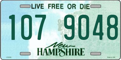 NH license plate 1079048