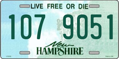 NH license plate 1079051