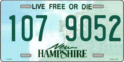 NH license plate 1079052