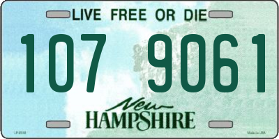NH license plate 1079061