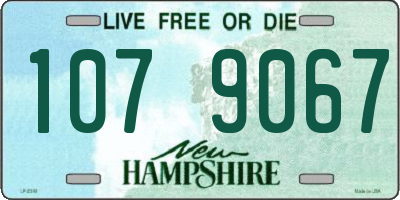 NH license plate 1079067