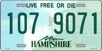 NH license plate 1079071