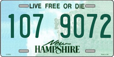 NH license plate 1079072