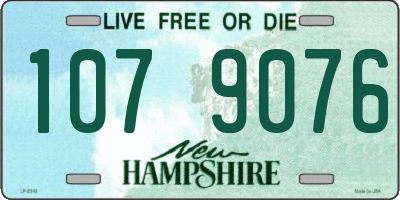 NH license plate 1079076