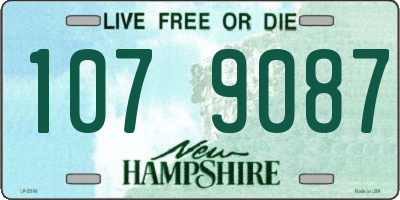 NH license plate 1079087