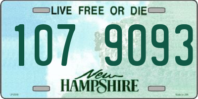 NH license plate 1079093