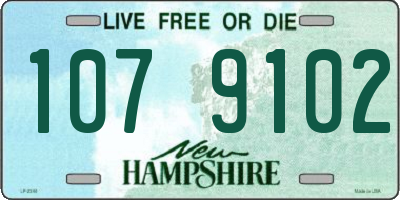 NH license plate 1079102