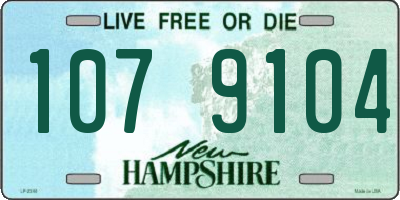 NH license plate 1079104