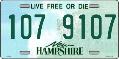 NH license plate 1079107