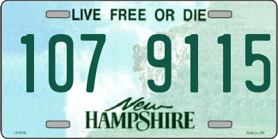 NH license plate 1079115