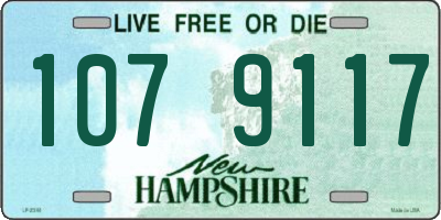 NH license plate 1079117
