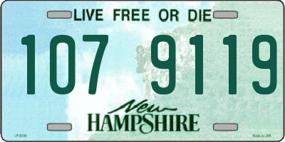 NH license plate 1079119