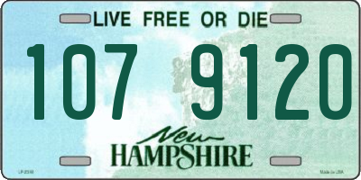 NH license plate 1079120