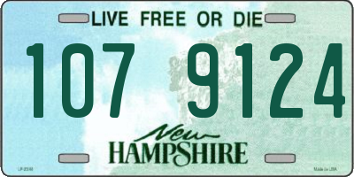 NH license plate 1079124