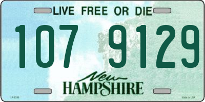 NH license plate 1079129