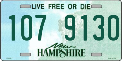 NH license plate 1079130