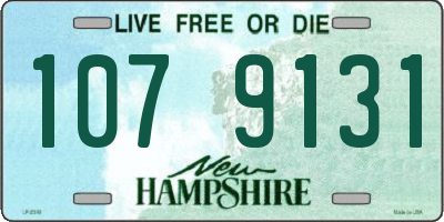 NH license plate 1079131