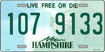 NH license plate 1079133