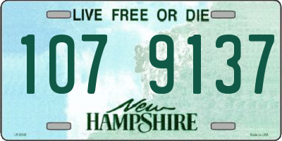 NH license plate 1079137
