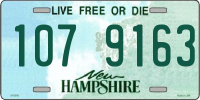 NH license plate 1079163