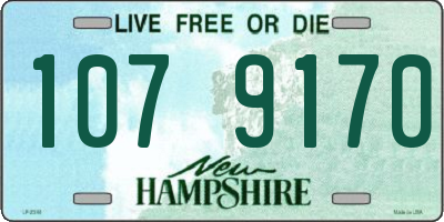 NH license plate 1079170