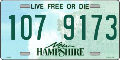NH license plate 1079173