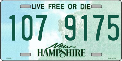 NH license plate 1079175