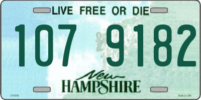 NH license plate 1079182