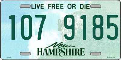 NH license plate 1079185