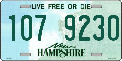 NH license plate 1079230