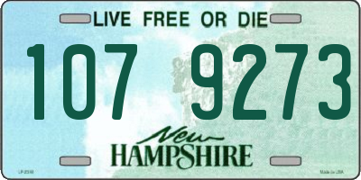 NH license plate 1079273