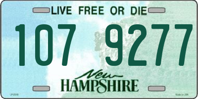 NH license plate 1079277