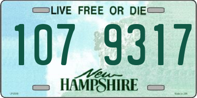 NH license plate 1079317