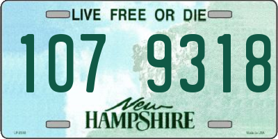 NH license plate 1079318