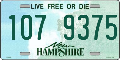 NH license plate 1079375
