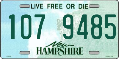 NH license plate 1079485