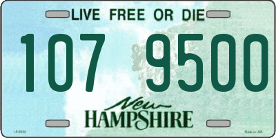 NH license plate 1079500