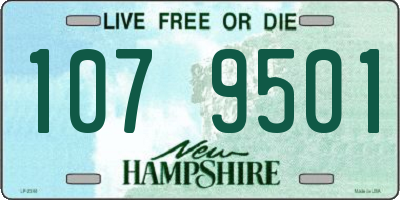 NH license plate 1079501