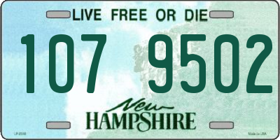 NH license plate 1079502