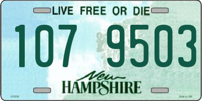NH license plate 1079503