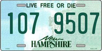 NH license plate 1079507